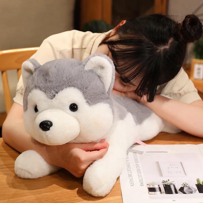 Pluszowy Pies Husky Kawaii Poduszka Maskotka