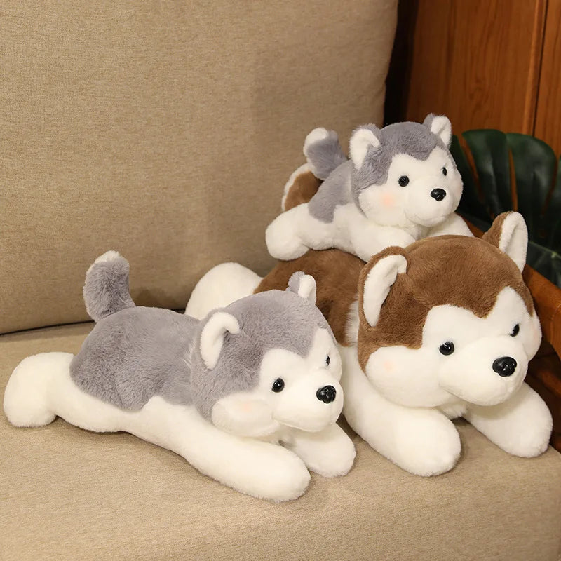 Pluszowy Pies Husky Kawaii Poduszka Maskotka