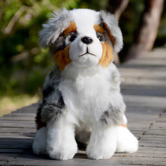 Pluszowy Piesek Australian Shepherd Realistyczna Maskotka