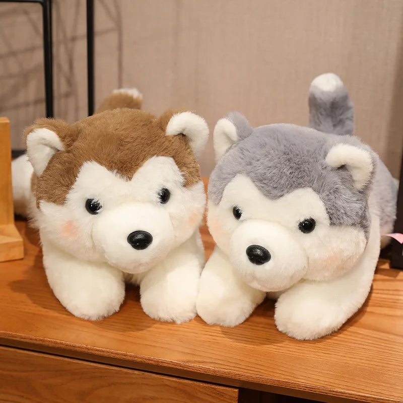 Pluszowy Pies Husky Kawaii Poduszka Maskotka