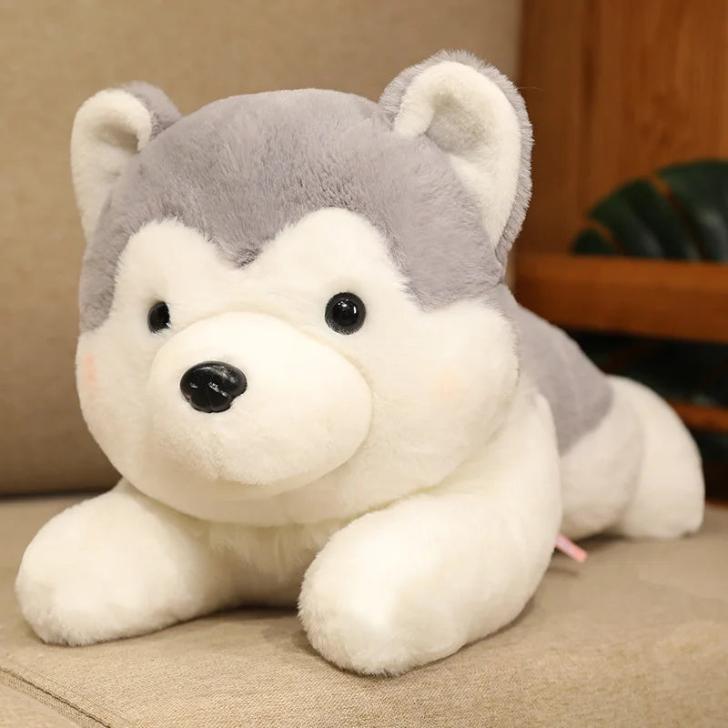 Pluszowy Pies Husky Kawaii Poduszka Maskotka