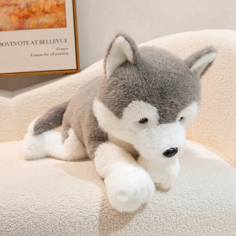Husky Realistyczny Pluszowy Piesek Maskotka