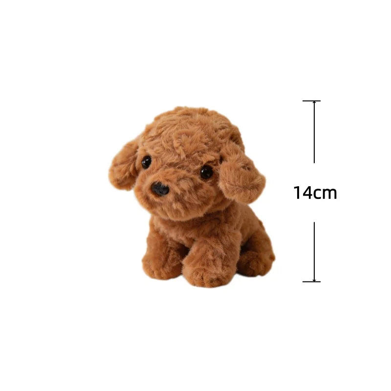 Teddy Dog Pluszowy Piesek Maskotka