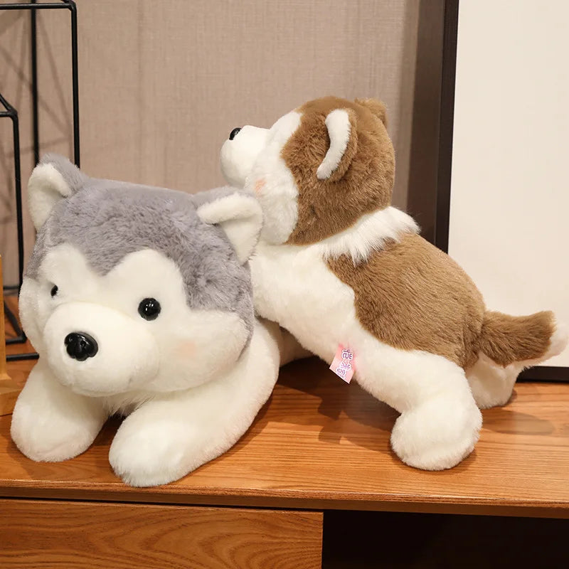 Pluszowy Pies Husky Kawaii Poduszka Maskotka