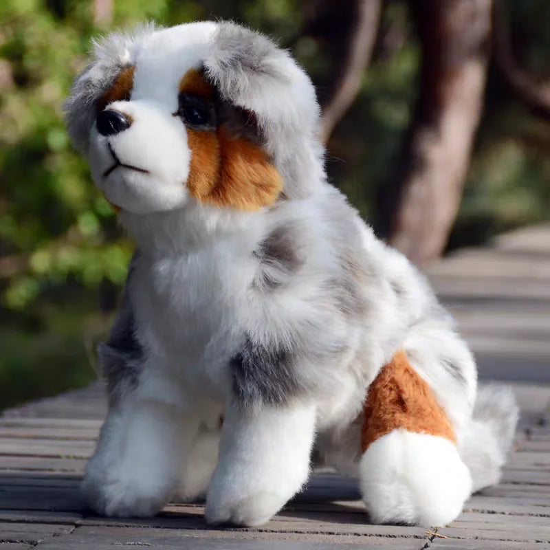 Pluszowy Piesek Australian Shepherd Realistyczna Maskotka