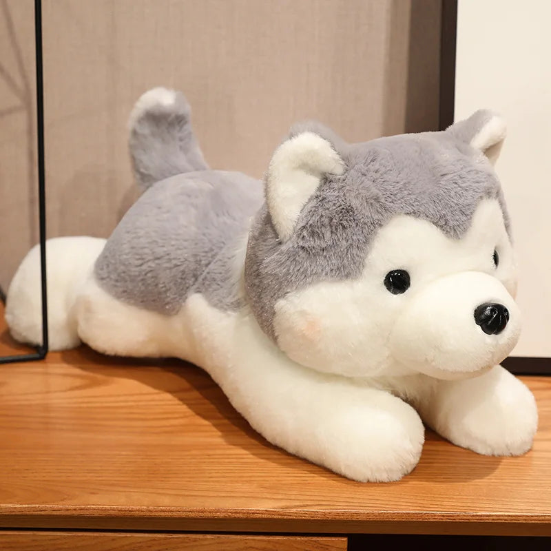 Pluszowy Pies Husky Kawaii Poduszka Maskotka