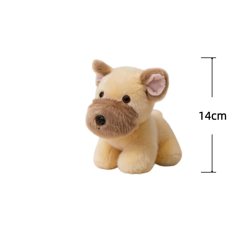 Buldog Pluszowy Piesek Maskotka